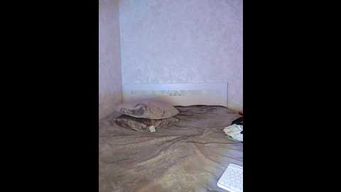 jennydooley @ bongacams on 20241019
