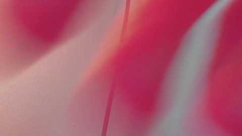 lambakaif @ bongacams on 20241019