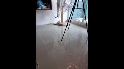 minnimia @ bongacams on 20241019