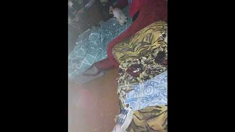 qwersad33 @ bongacams on 20241019