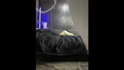 vero19nika @ bongacams on 20241019