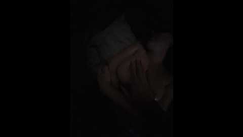 k_inkognito_s