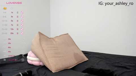 ashleytoxic @ bongacams on 20241021
