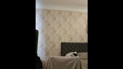 axel_20x @ bongacams on 20241021