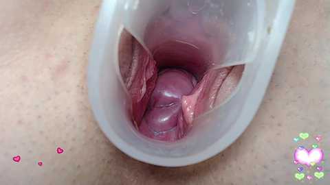 pevicha @ bongacams on 20241022