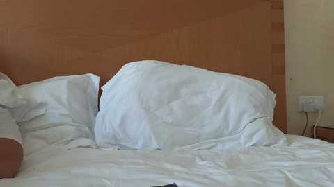 mr_and_mrs_smith_xxl @ bongacams on 20241023