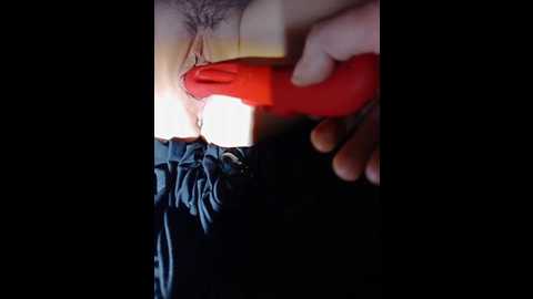 mycreampiewife @ bongacams on 20241023