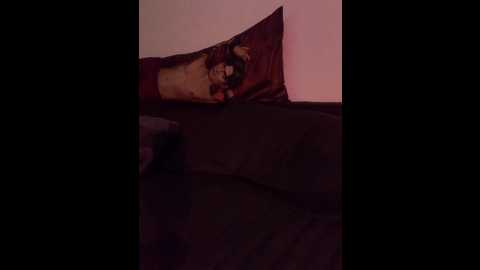 originalhooli @ bongacams on 20241023