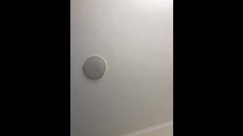 yugovi @ bongacams on 20241023