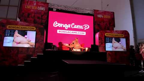 krissysins @ bongacams on 20241024