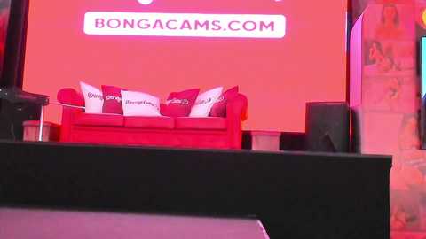 laranya @ bongacams on 20241024