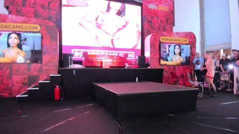 krissysins @ bongacams on 20241025