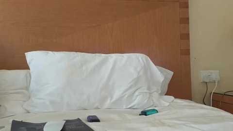 mr_and_mrs_smith_xxl @ bongacams on 20241025