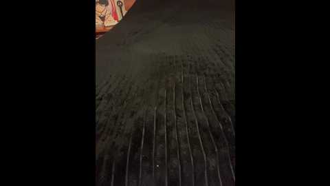 peach__alice @ bongacams on 20241025