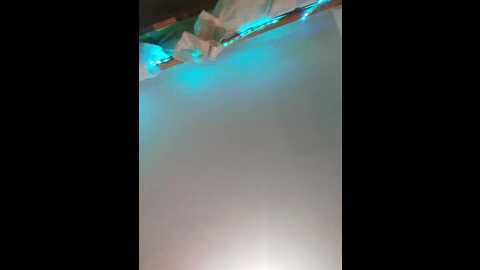 bella2006 @ bongacams on 20241026