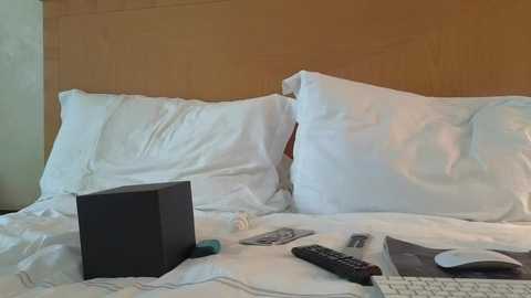 mr_and_mrs_smith_xxl @ bongacams on 20241026