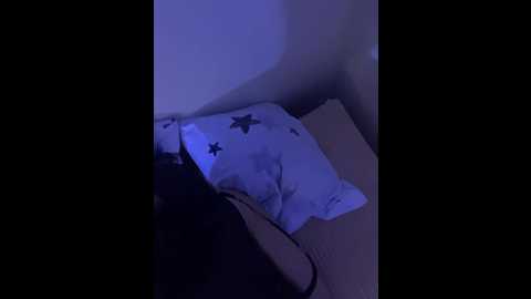 nikandst @ bongacams on 20241026