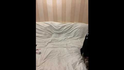 russiabrazers @ bongacams on 20241027