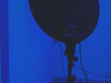 selenaston @ bongacams on 20241027