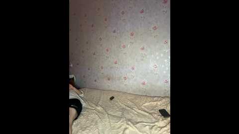 alyavass1 @ bongacams on 20241028