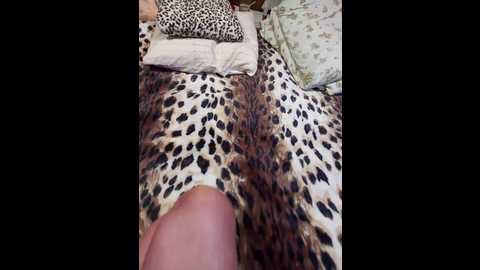 cottoncandy1_1 @ bongacams on 20241028