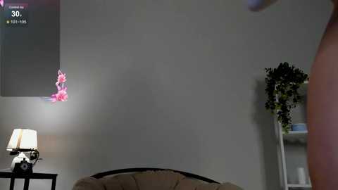lili_roze @ bongacams on 20241028