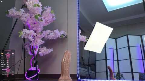 marry_cordy @ bongacams on 20241029