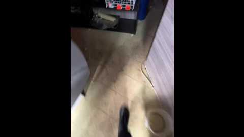 viktoriaastr @ bongacams on 20241029