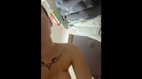 battyhils @ bongacams on 20241030