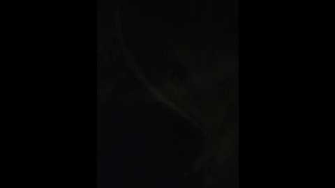perepyganue @ bongacams on 20241030