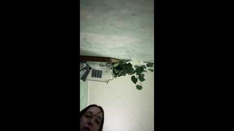alex_369 @ bongacams on 20241031