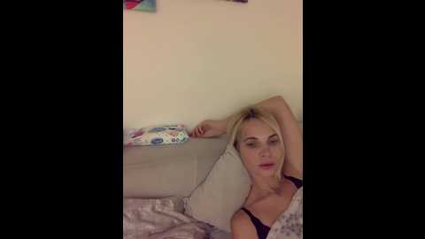 donordi @ bongacams on 20241031