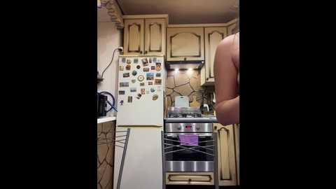 _breid_1 @ bongacams on 20241101