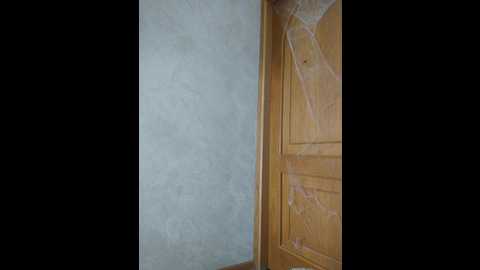 littledelora @ bongacams on 20241101