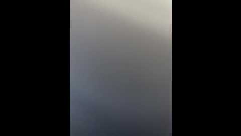 meow_777 @ bongacams on 20241101