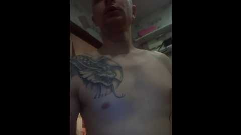 niki233221 @ bongacams on 20241101