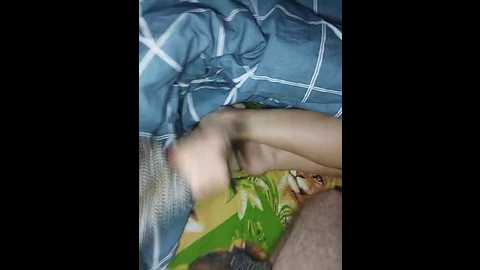 qwersad33 @ bongacams on 20241101