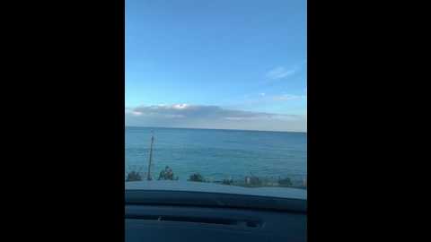 donordi @ bongacams on 20241102