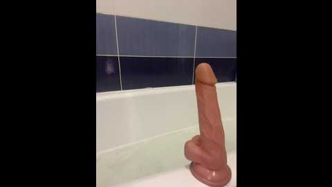 foxstar @ bongacams on 20241102