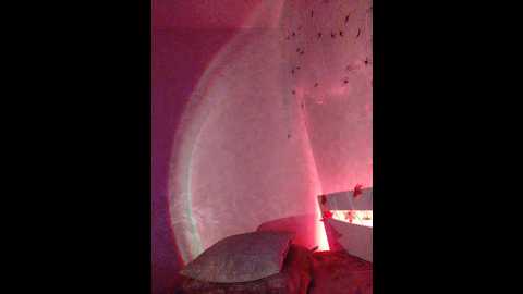 jennydooley @ bongacams on 20241102