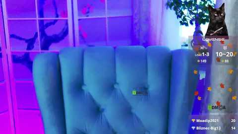 z__llllll__z @ bongacams on 20241102