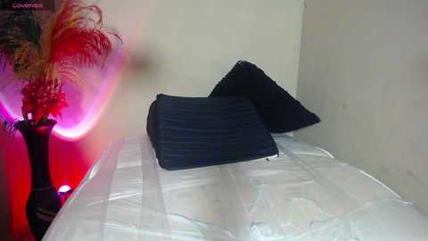 abbie_n_lucas @ bongacams on 20241103