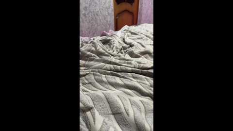 alex_369 @ bongacams on 20241103