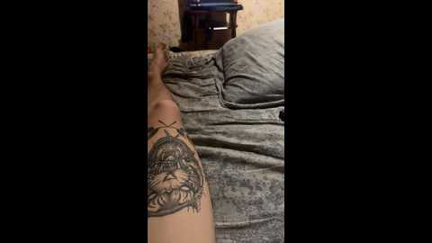 alex_369 @ bongacams on 20241103