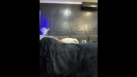 vero19nika @ bongacams on 20241104
