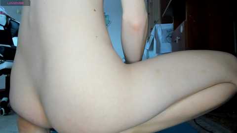 iamloli @ bongacams on 20241105