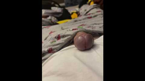 pipirat_pipiratka @ bongacams on 20241105