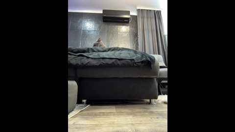 vero19nika @ bongacams on 20241105