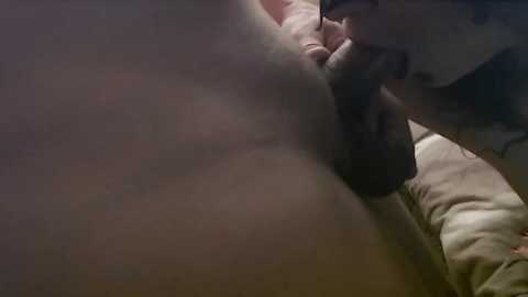 agoodday @ bongacams on 20241106