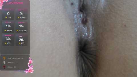 elviramilf @ bongacams on 20241106